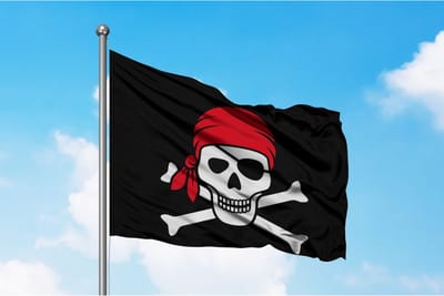 Zwarte Piraten Vlag 80x120cm