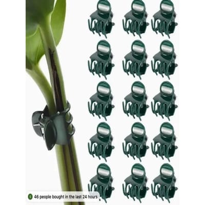 100 stuks Tuinplantclips Plastic Ondersteuning Orchidee Stengelclip Voor Klimplanten Groenten Bloem Gebonden Bundel Tak Klemmen Tuingereedschap black