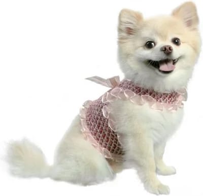 Pooch Outfitters Harness Alexa maat S