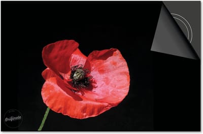 Inductie beschermer 60x60 - afdekplaat inductie mat - Dietrix Kookplaat beschermer - Exclusief - Bloemen en Planten - Klaproos op zwart