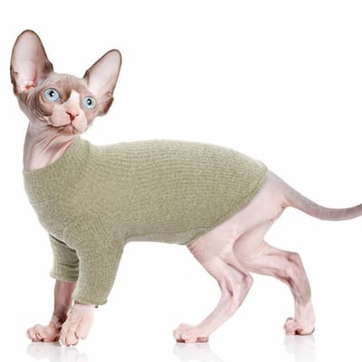 Store_7 - Katten jumpsuit - Hersteloutfit voor katten - Groen - Katoenen truien - Geschikt voor middelgrote en grote rassen - Kleur L