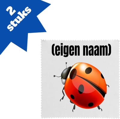 Akyol - lieveheersbeestje met eigen naam brillendoekjes - Lieveheersbeestje - lieveheersbeestje liefhebbers - iemand die houdt van lieveheersbeestjes - verjaardag - cadeau - kado - 17,8 bij 17,8 cm - 2 stuks