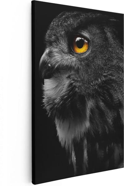 Artaza Canvas Schilderij Dierenkop Uil - 20x30 cm - Klein - Muurdecoratie Vogel - Wanddecoratie Dierenkop - Kamer Accessoires Woonkamer