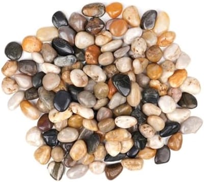PromoHome Gepolijste Rivierstenen voor Planten - Decoratieve Hobby Steentjes 2-4 cm - Ongeveer 170 Stuks per Zak (2,25 kg) - Voor Vazen, Terrarium, Aquarium, Tuin en Huisdecoratie
