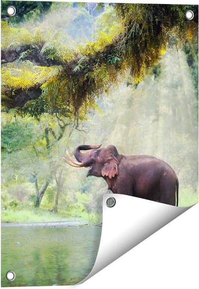 Gards Tuinposter Vrolijke Olifant in het Water - 40x50 cm - Tuindoek - Tuindecoratie - Wanddecoratie buiten - Tuinschilderij