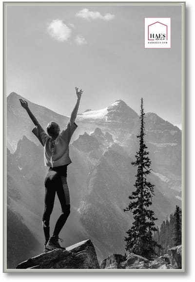 HAES deco - Kunststof fotolijst 40x60 zilver Easy Frame - EF9S