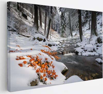 Saammp Canvas Schilderij - Beekje in de winter - Bloemen - Landschap - Natuur - 30x20 - Foto op canvas - Wanddecoratie - Muurdecoratie Woonkamer - Slaapkamer decoratie - Canvas Print