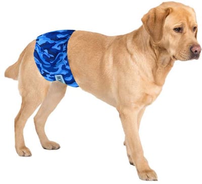 Sharon B - Hondenluier Camouflage Blauw - Honden - Hondenluiers Reu, Hondenbroekje, Hondenpampers, Luier Hond - Wasbaar - XS - 23 tot 33 cm