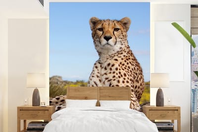 Behang - Fotobehang Luipaard - Dieren - Natuur - Breedte 190 cm x hoogte 260 cm
