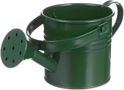 Gietpot - Decoratieve gieter - Planten water geven - Roestbestendig ijzer - 8x8x8 cm - Legergroen
