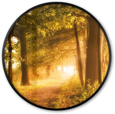 Poster in lijst Rond - Fotolijst 60x60 cm - Posters - Bos - Bomen - Zonlicht - Herfst - Bospad - Natuur - Ronde posterlijst zwart - Decoratie - Wanddecoratie woonkamer - Muurdecoratie slaapkamer
