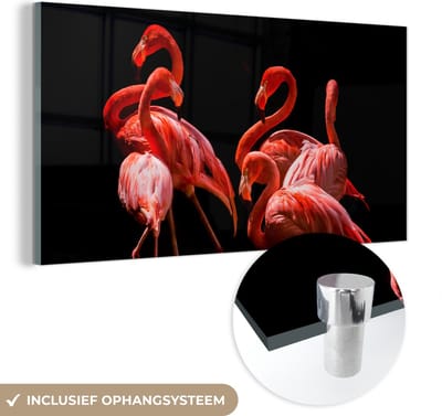 MuchoWow® Glasschilderij 40x20 cm - Schilderij acrylglas - Flamingo's - Vogels - Veren - Zwart - Foto op glas - Schilderijen