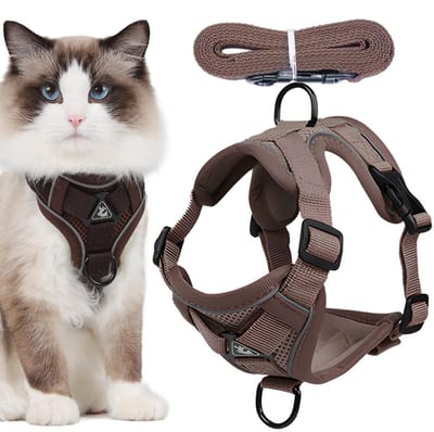 Dailygoods- Kattentuig Ontsnappingsbestendig - Kattentuig met Looplijn - Verstelbaar Harnas - Reflecterend Kattenharnas - Polyester Materiaal - Perfect voor Buitenavonturen
