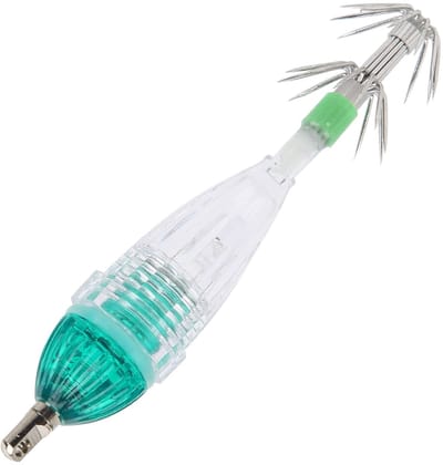 Dailygoods - Draagbaar LED Vissen Lokken Licht voor Nachtvissen