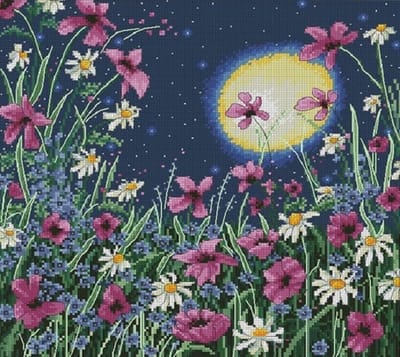 Borduurpakket VDV - Moonlite Night - Maanverlichte nacht - DMC garens - telpatroon om zelf te borduren