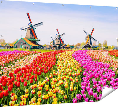 Gards Tuinposter Kleurrijke Tulpen Bloemenveld - Windmolen - 160x120 cm - Tuindoek - Tuindecoratie - Wanddecoratie buiten - Tuinschilderij