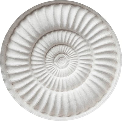 Badmat rond 70x70 cm - Antislip - Schelp - Spiraal - Wit - Badmatten voor badkamer - Badkamermat - Douchemat - Ronde badkamer mat