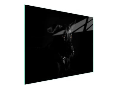TMK ArtDeko - Snijplank - Glas - 52x30 cm - Hond