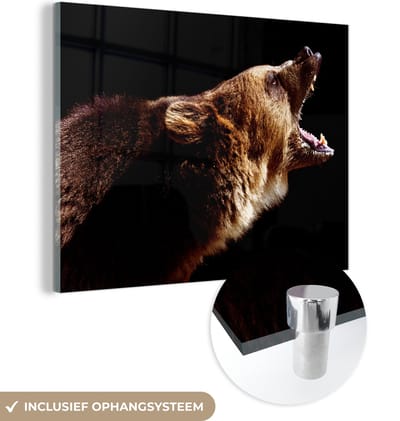 MuchoWow® Glasschilderij 160x120 cm - Schilderij acrylglas - Beer - Wild dier - Tanden - Foto op glas - Schilderijen