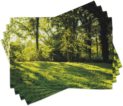 ABAKUHAUS groene placematten – boslandschap bij zonsopgang, straalende boom-gras-veld-natuurfoto; kleurvaste stof voor eetkamer en keuken, groen