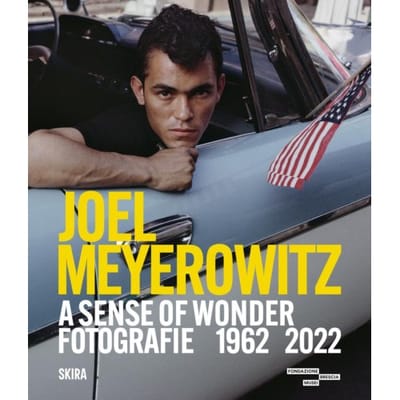 Joel Meyerowitz: A Sense Of Wonder (Bilingual Edition)