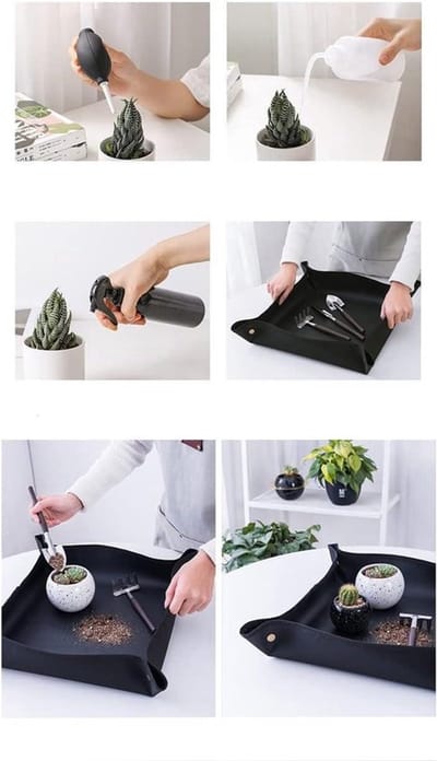 Dailygoody - Succulent Plants Tools - Tuinset - Miniatuur