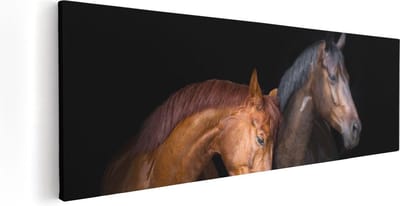 Artaza Canvas Schilderij Paard - 60x20 cm - Wanddecoratie Dierenkop - Muurdecoratie Woonkamer - Kamer Accessoires