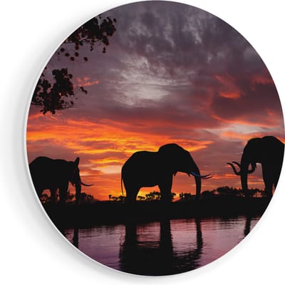 Artaza Forex Muurcirkel Olifanten Tijdens Zonsondergang - Silhouet - 70x70 cm - Wandcirkel - Rond Schilderij - Wanddecoratie Cirkel - Muurdecoratie
