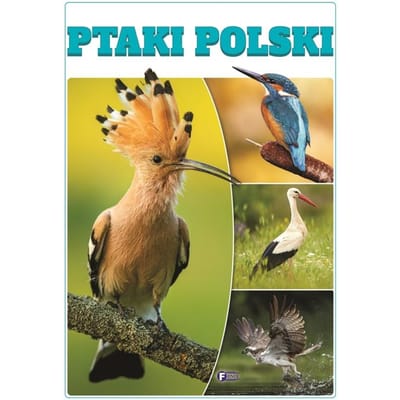 Vogels van Polen Boek Voor Kinderen Album Atlas Gids Harde Kaft