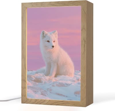 Nachtlampje 20x30 cm - Kinder lampje - Poolvos - Sneeuw - Roze - Tafellamp kinderkamer - Slaapkamer lamp - Bedlamp kinderen - Kinderlampje stopcontact - Wandlamp babykamer - Nachtlampjes