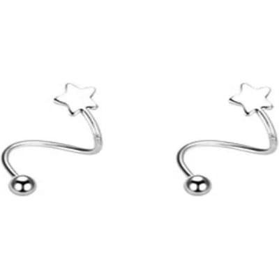 2 Paires Boucles d'Oreilles Stud Spiralées Torsadées en Acier Inoxydable, Piercing Lèvre Cœur Étoile Cartilage Tragus Helix Bijoux de Piercing d'Oreille Cadeaux