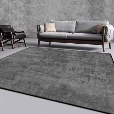 Moderne Grijze Woonkamer Decoratie Tapijt Groot Oppervlak Zacht Lounge Kleed Scandinavische Eenvoudige Vloerkleden voor Slaapkamer Wasbaar Antislip Vloermat 60*90cm