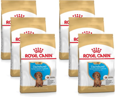 Royal Canin Dachshund - Puppy-Hondenvoer - 6 x 1.5 kg