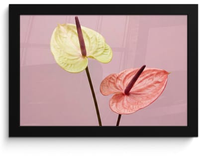 Poster in lijst - Fotolijst 30x20 cm - Posters - Bloemen - Anthuriums - Geel - Roze - Posterlijst zwart - Decoratie - Wanddecoratie woonkamer - Muurdecoratie slaapkamer