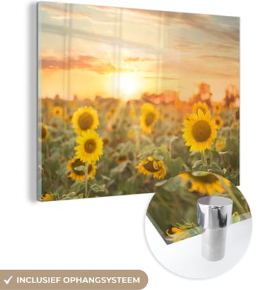 MuchoWow® Glasschilderij 40x30 cm - Schilderij acrylglas - Zonnebloem - Zon - Bloemen - Foto op glas - Schilderijen