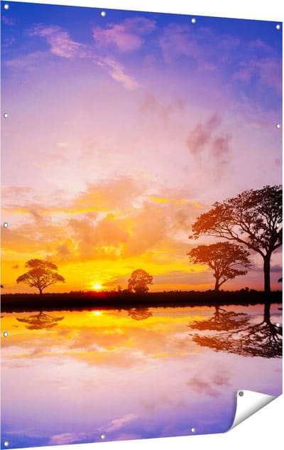 Gards Tuinposter Silhouet van Bomen tijdens Zonsondergang - 120x160 cm - Tuindoek - Tuindecoratie - Wanddecoratie buiten - Tuinschilderij
