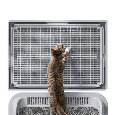 MAGICSHE Mat Kattenbak Gritopvanger - 42 X 28,5 X 2 Cm - Dubbele Laag - Uitloopmat - Kattenbakmat - Kattenbak Accessoires - Schoonloopmat Kattenbak Lichtgrijs