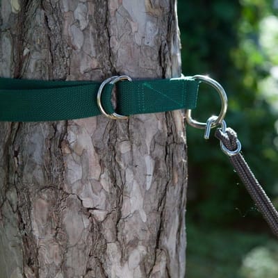 Boomhangers Set - Touw Hangers - Ontspannen Buiten - Milieuvriendelijk - 2x 243cm - Zwart