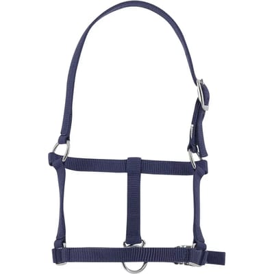 Halster voor veulen Riding World