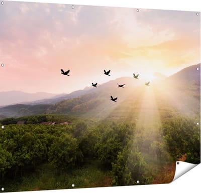 Gards Tuinposter Silhouet Zwerm Vogels bij Zonsondergang - 150x120 cm - Tuindoek - Tuindecoratie - Wanddecoratie buiten - Tuinschilderij