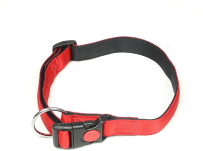 De-Tail Halsband Nylon met zachte voering en snelsluiting 25 mm x 50-65 cm Rood