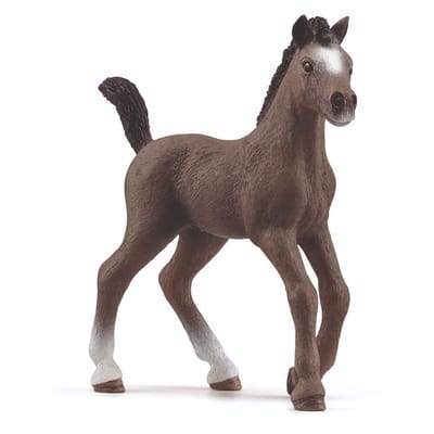 schleich HORSE CLUB - Selle Français-veulen - 13957
