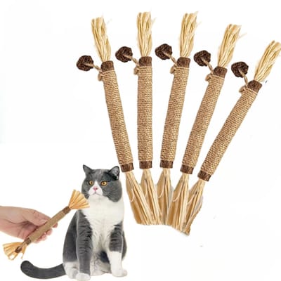 5 Stuks Stokjes voor katten - Kattenkruid kauwstokje - Eetbaar - Kat tanden reiniging kauwbare - Kattengebitssticks - Verbetert eetlust & Vermindert tandplak - voor Binnen, Kittens – LOUZIR