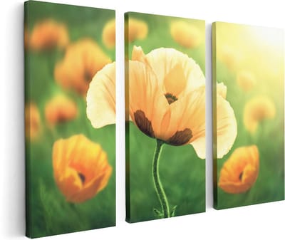 Artaza Canvas Schilderij Drieluik Oranje Klaproos Bloemen  - 120x80 - Foto Op Canvas - Canvas Print