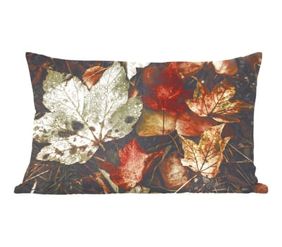 Sierkussens - Kussentjes Woonkamer - 50x30 cm - Herfstbladeren - Herfst - Seizoenen - Natuur