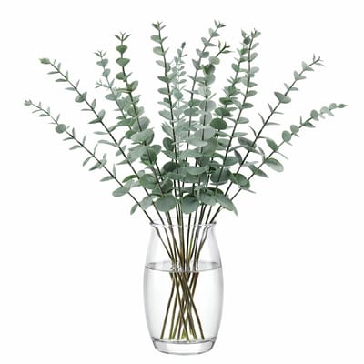 BukkitBow - Set Kunst Eucalyptus Takken - Kunstplant Decoratie Takken - Woondecoratie - 15 Takken