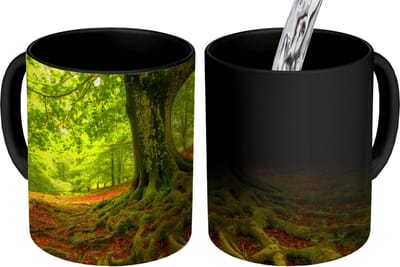Magische Mok - Foto op Warmte Mokken - Koffiemok - Boom - Bos - Herfstbladeren - Magic Mok - Beker - 350 ML - Theemok