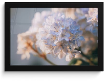 Poster in lijst - Fotolijst 30x20 cm - Posters - Bloemen - Lichtblauw - Wazig - Trosje - Posterlijst zwart - Decoratie - Wanddecoratie woonkamer - Muurdecoratie slaapkamer