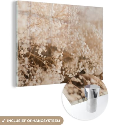 MuchoWow® Glasschilderij 40x30 cm - Schilderij acrylglas - Pampasgras - Plant - Natuur - Foto op glas - Schilderijen