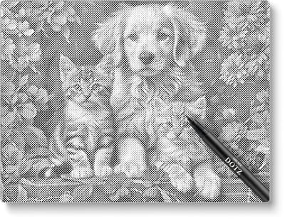 Puppy Met Kittens | Dot painting | 50x60cm  Meest gekozen | Dot painting | Oh My Dotz | Dots stippen | Diamond painting & Schilderen op nummer alternatief | Happy hobby